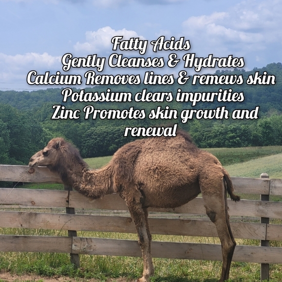 LIMITED QUANTITY Super Beauty Food Camel's Milk Soap - Picture 4 of 14